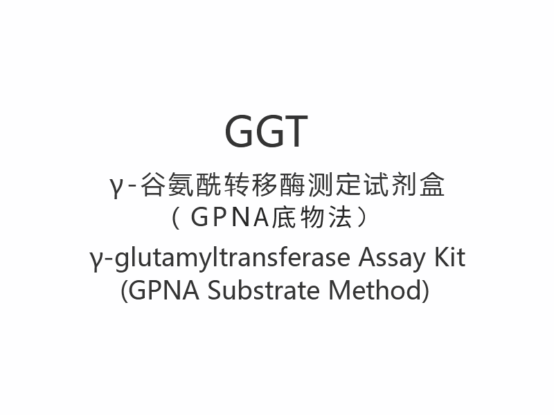 【GGT】ชุดทดสอบγ-กลูตามิลทรานสเฟอเรส (วิธีพื้นผิว GPNA)
