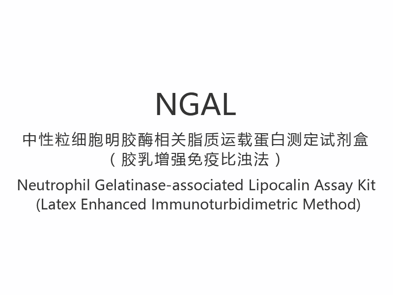 【NGAL】ชุดทดสอบไลโปคาลินที่เกี่ยวข้องกับนิวโทรฟิลเจลาติน (วิธีตรวจวัดภูมิคุ้มกันบกพร่องด้วยยางลาเท็กซ์)
